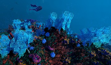 生态系统 Ecosystem 单机游戏英文版下载